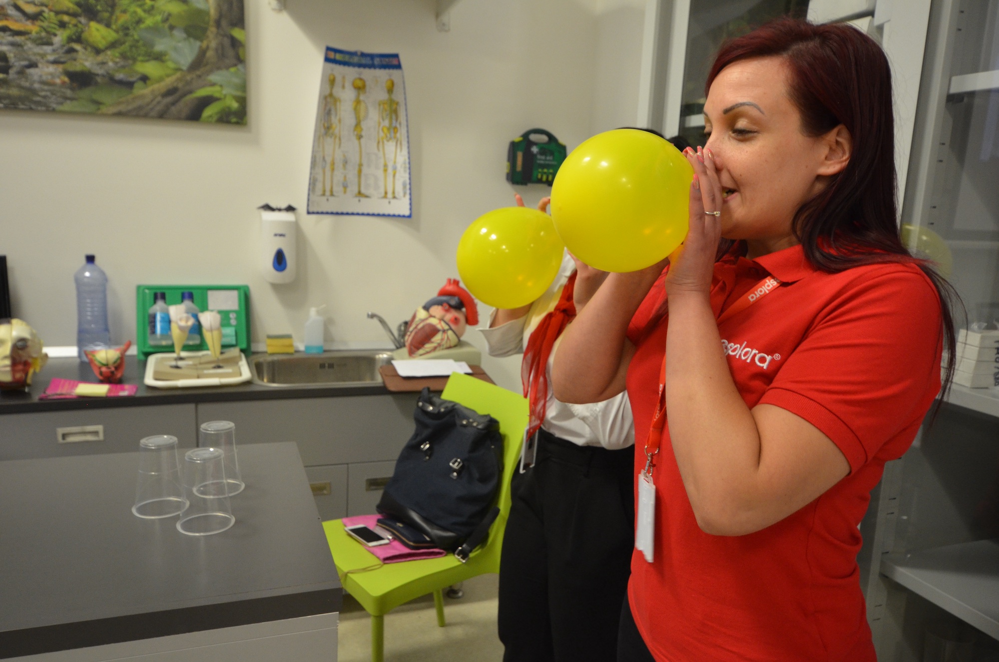 the project photo xxxxx